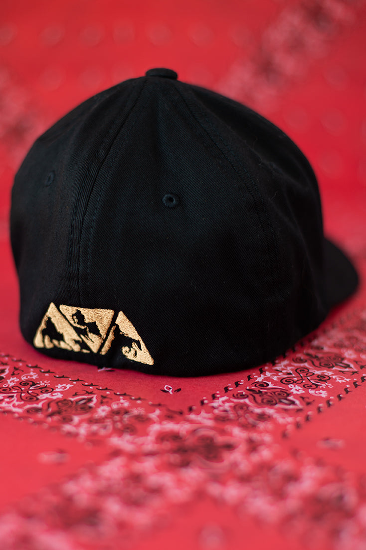 Men's NRCHA Logo Black Hat