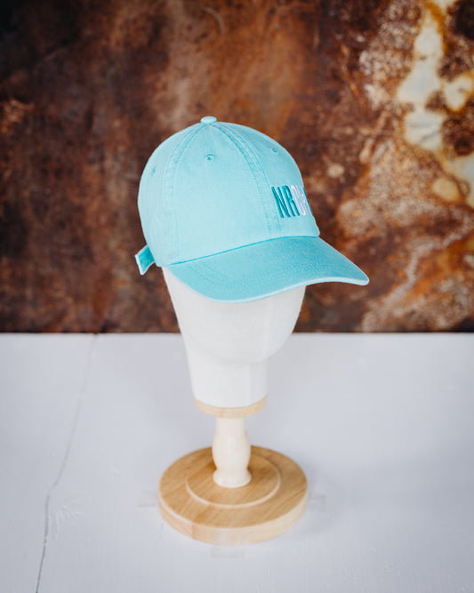 Washed Turquoise Cloth NRCHA Logo Soft Hat