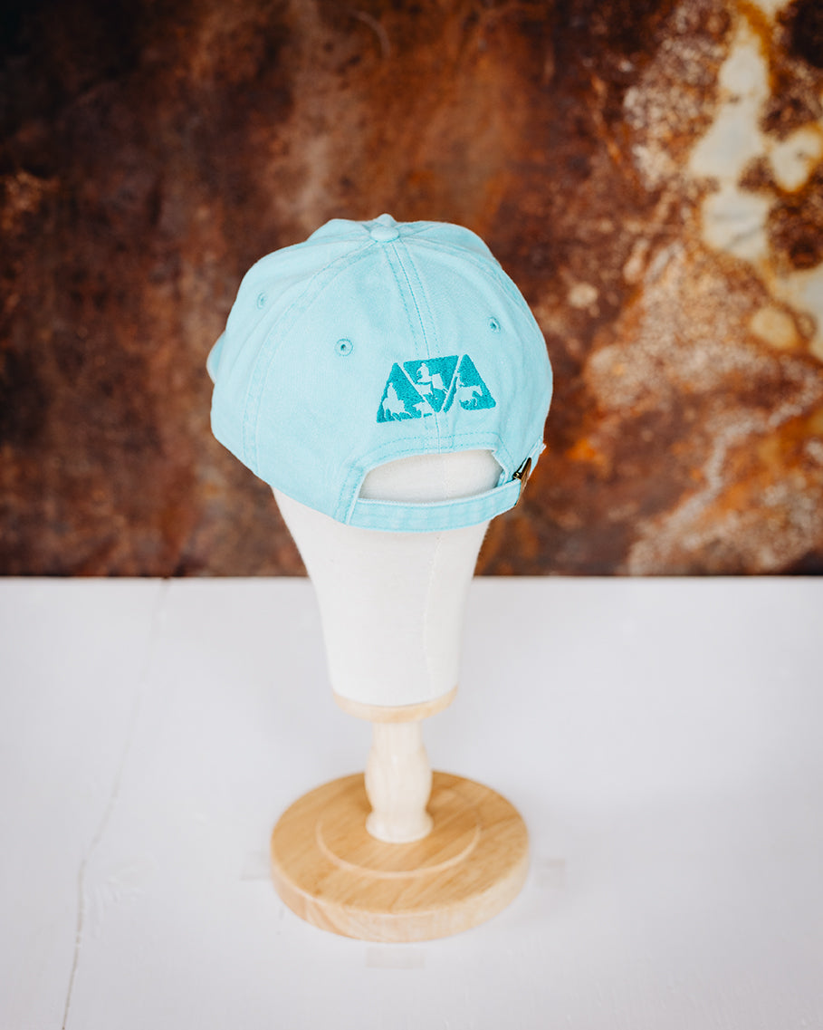 Washed Turquoise Cloth NRCHA Logo Soft Hat