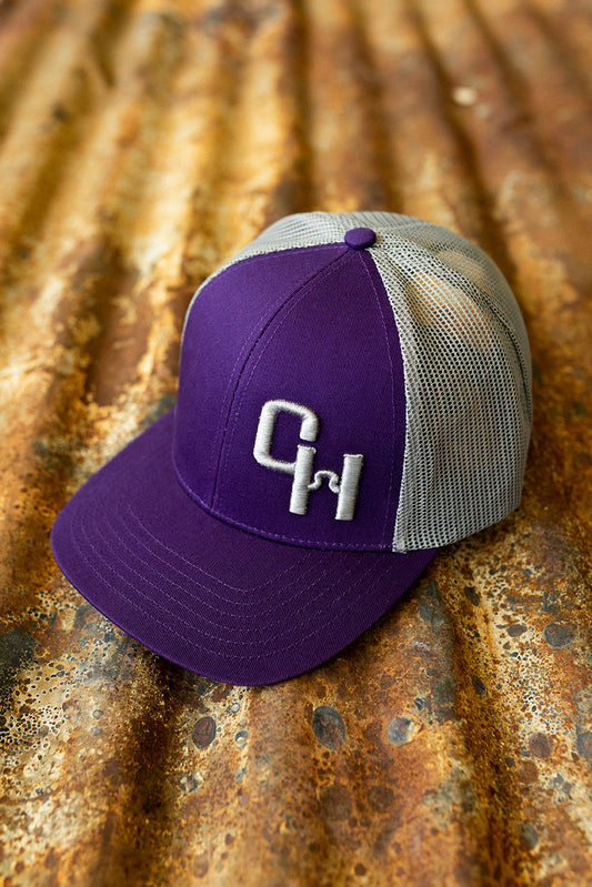 Purple and Grey Mesh NRCHA Puff Logo Hat