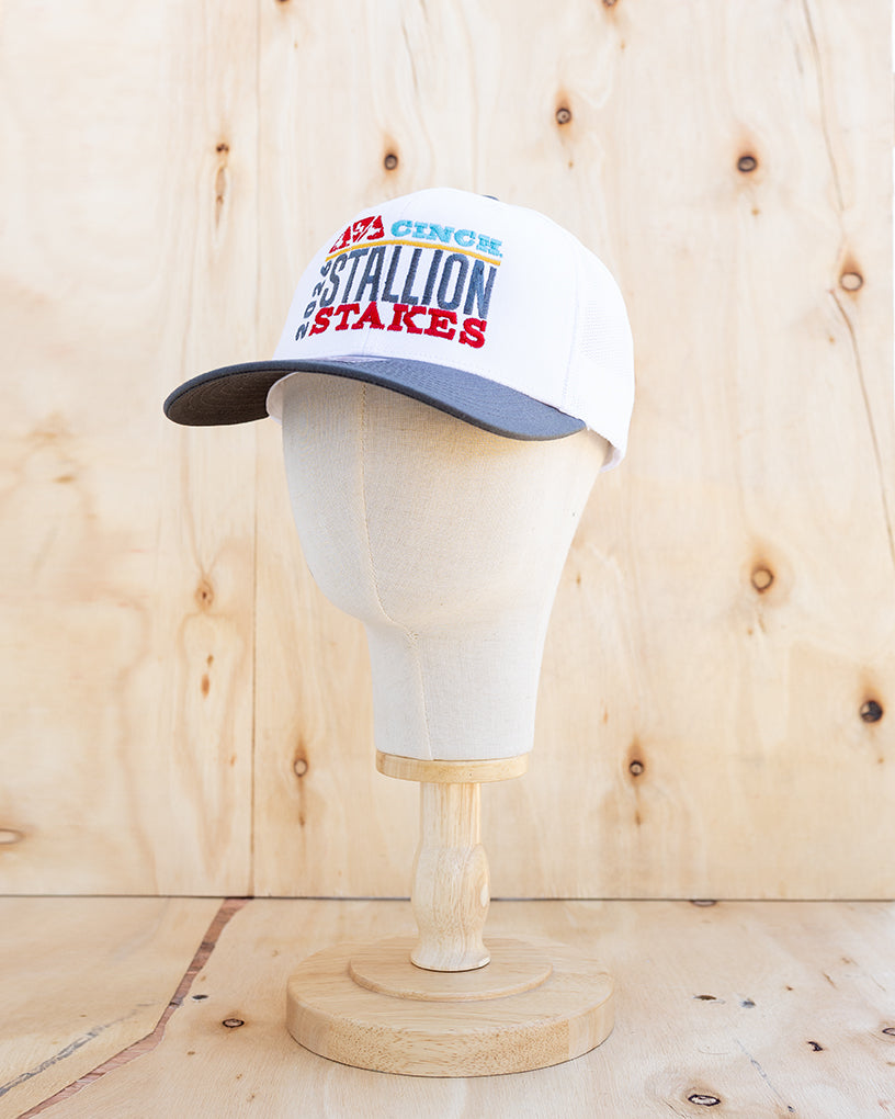 2026 Stallion Stakes Hats (4 Styles)